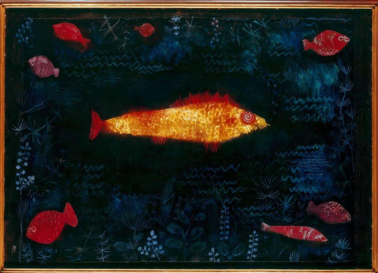 Il pesce d