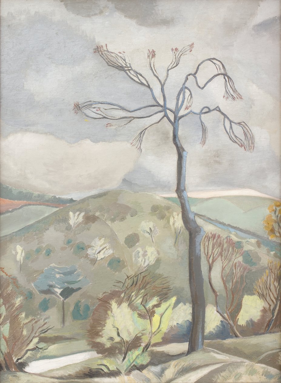 Paesaggio d