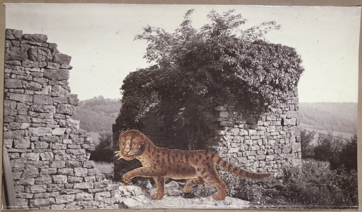 Tigre, Tigre, c.1938 da Paul Nash