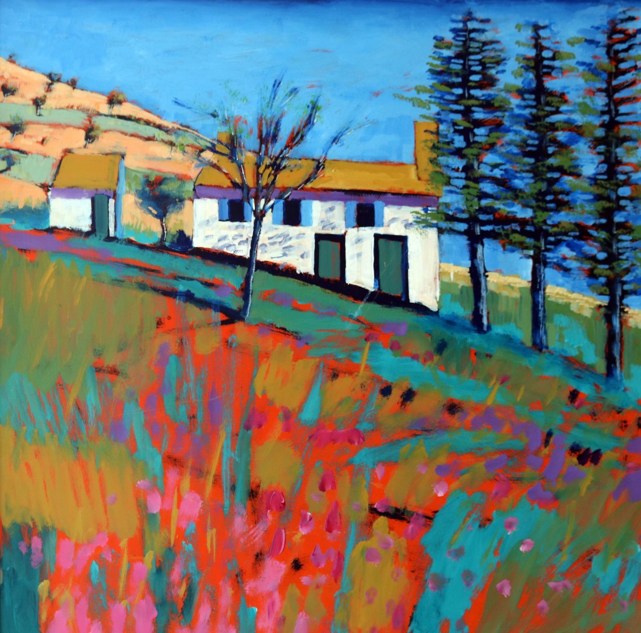 Le Marche da Paul Powis