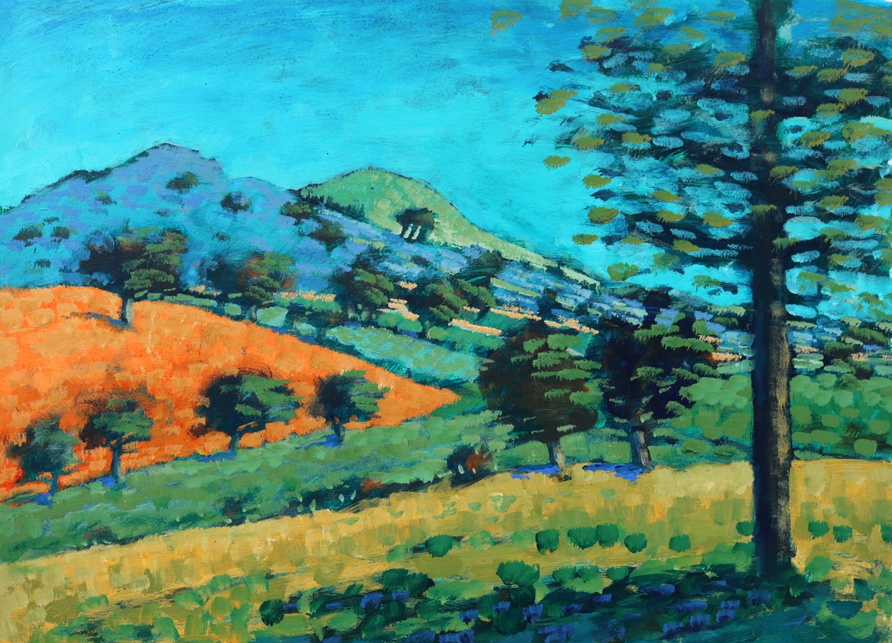 Colline di Malvern da Paul Powis