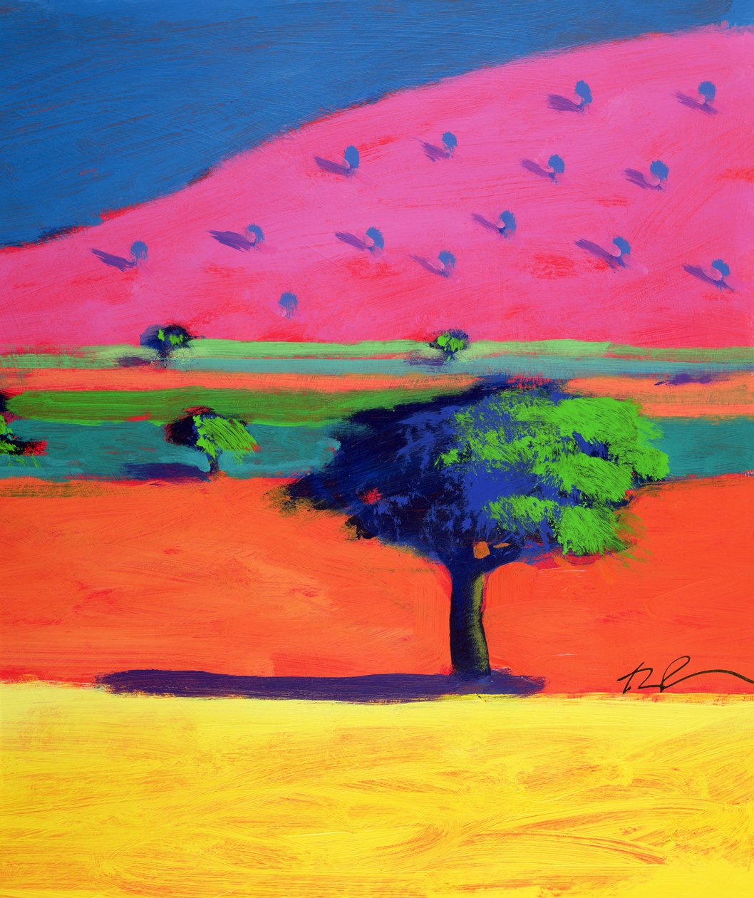 Collina rosa da Paul Powis