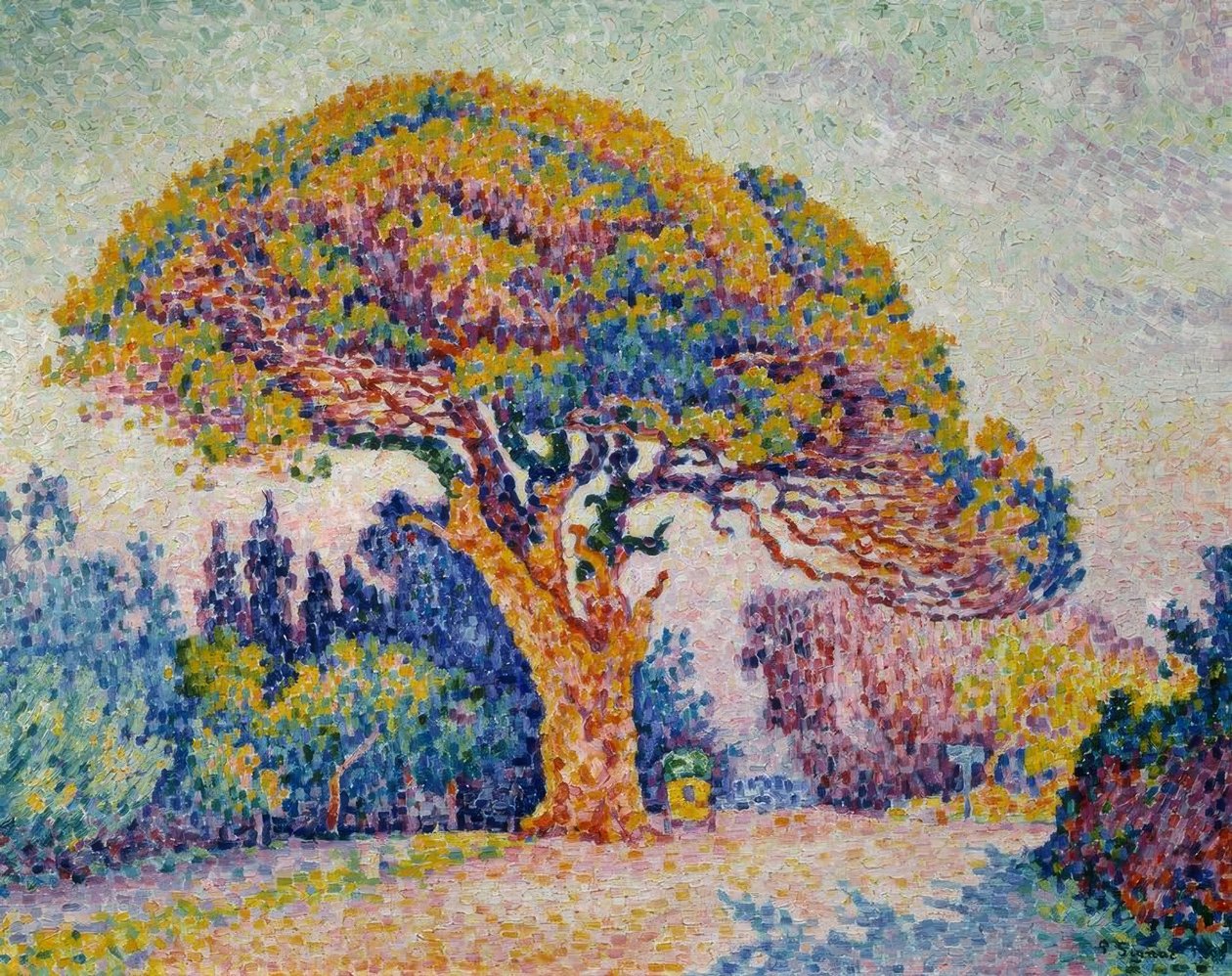 Signac, Pino di Bertaud da Paul Signac