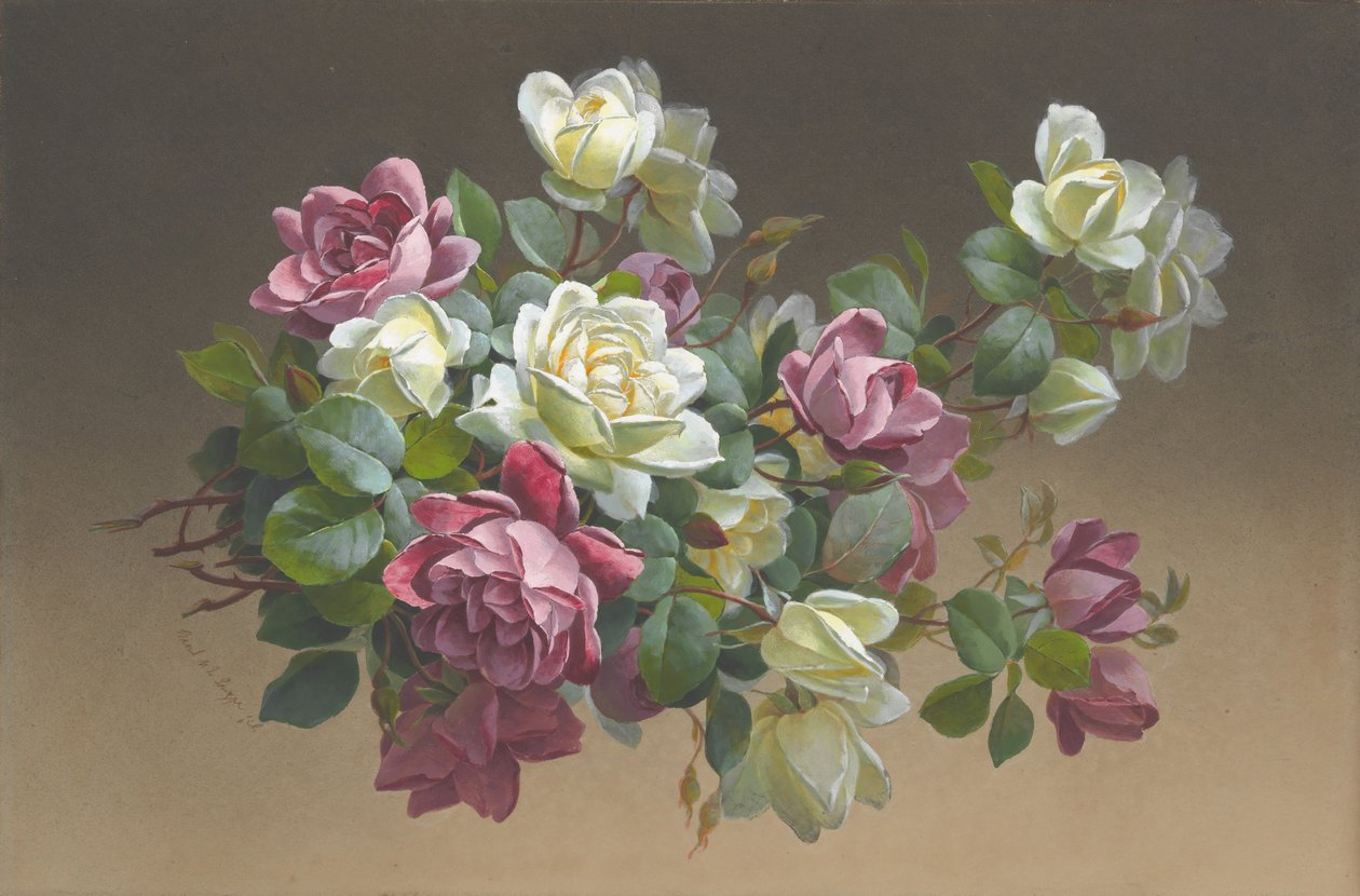 Fiori: Rose da Paul de Longpré