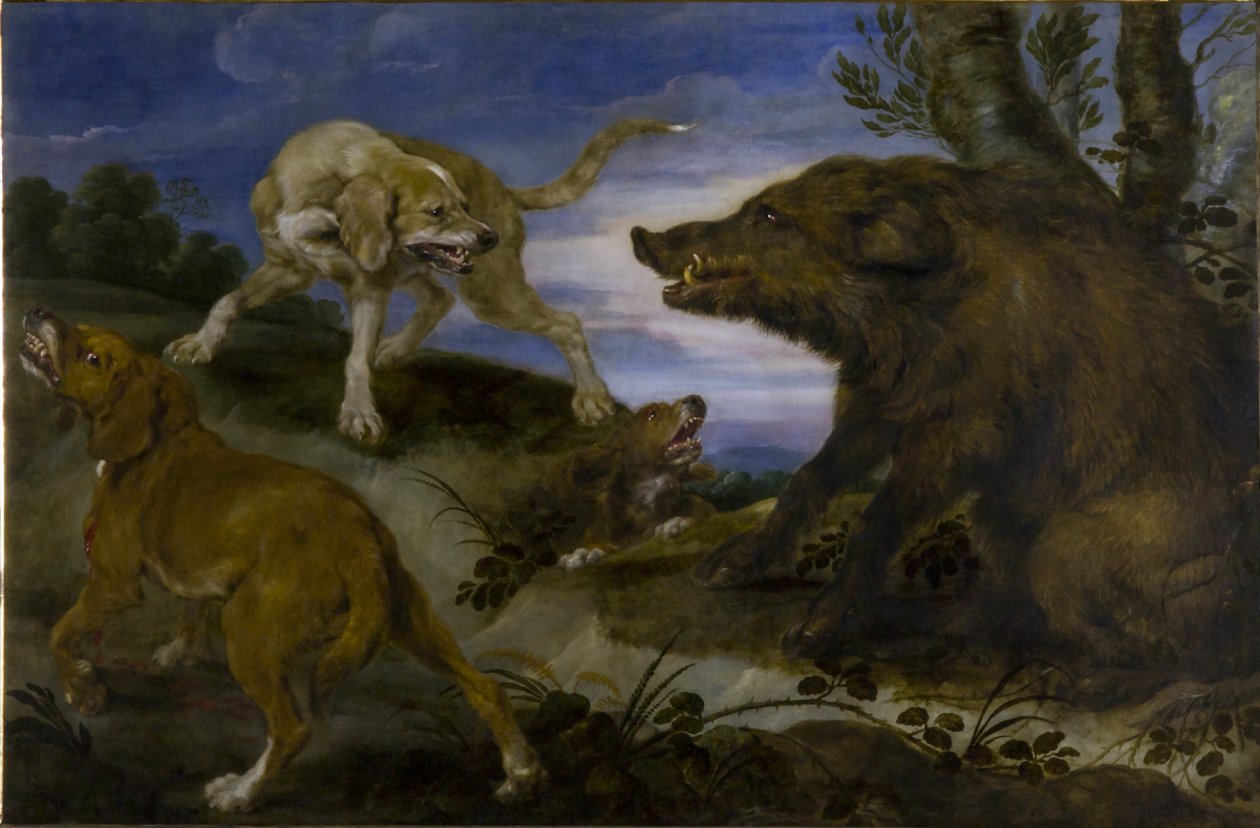 Caccia al cinghiale da Paul De Vos
