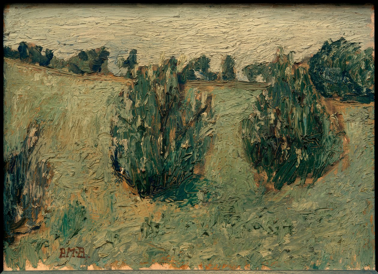 Paesaggio con pini da Paula Modersohn Becker