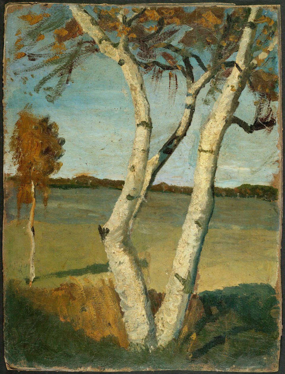Betulla a due tronchi davanti al paesaggio da Paula Modersohn Becker