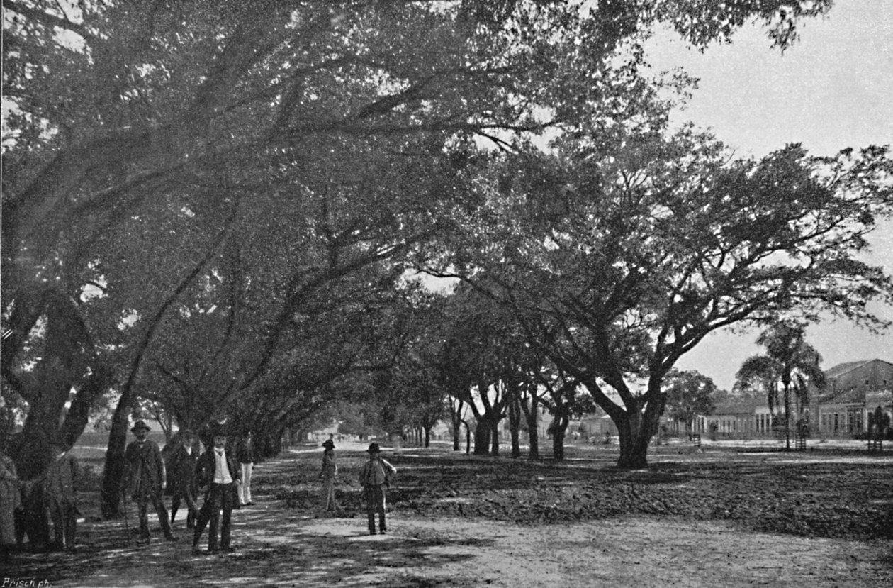 Avenida de Tiradentes, 1895 da Paulo Kowalsky