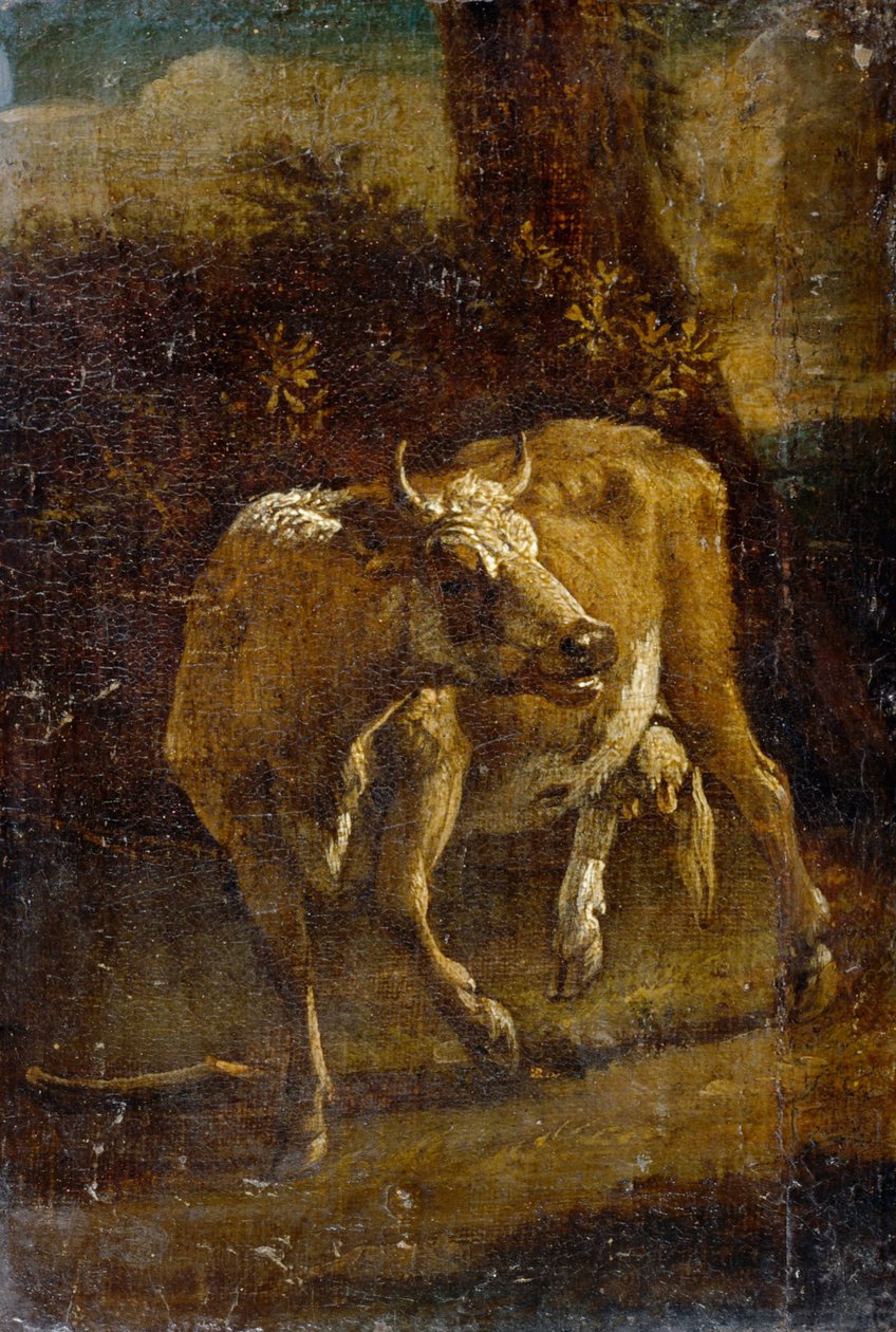 Una Mucca da Paulus Potter