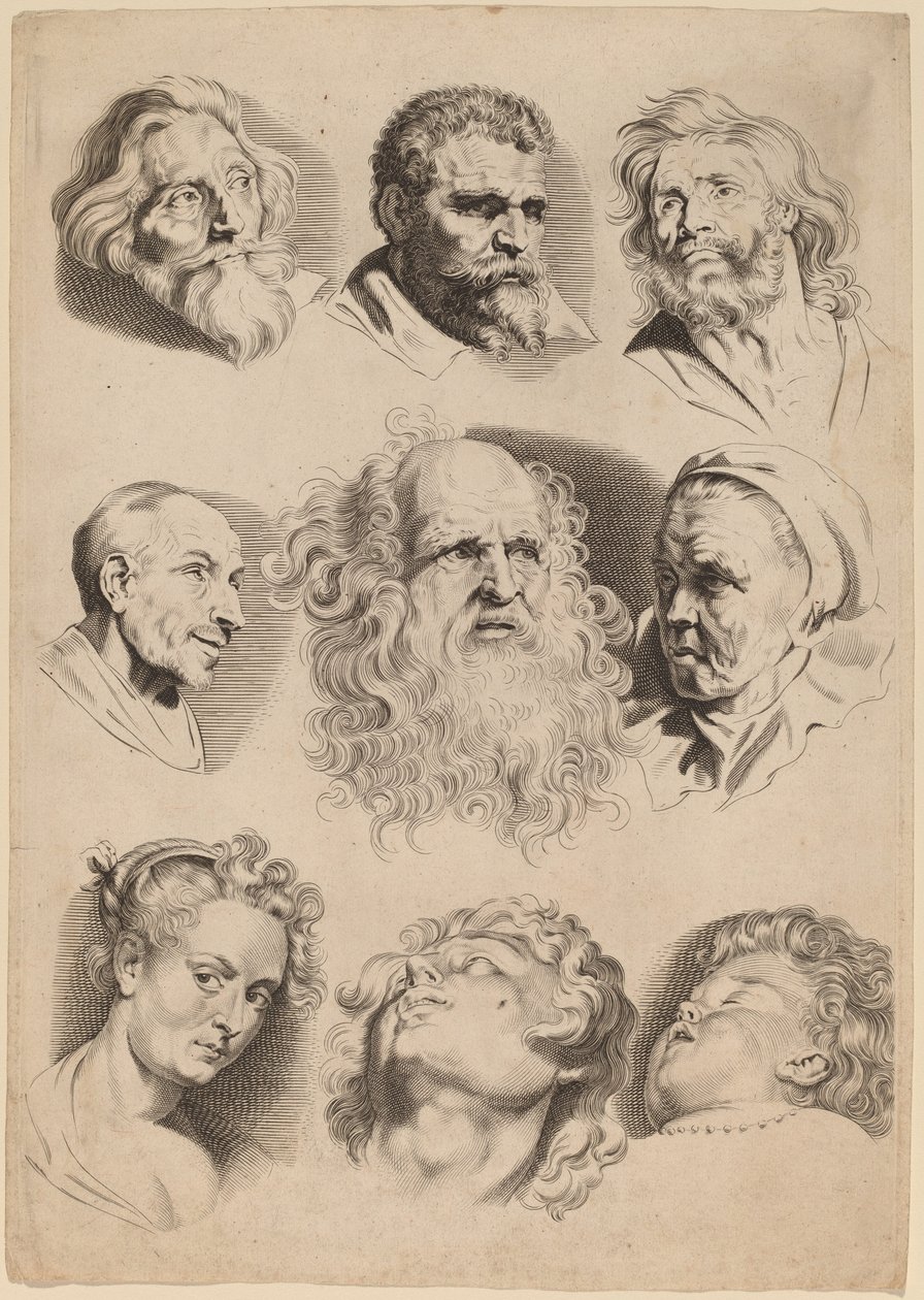 Nove teste da Paulus Pontius after Sir Peter Paul Rubens