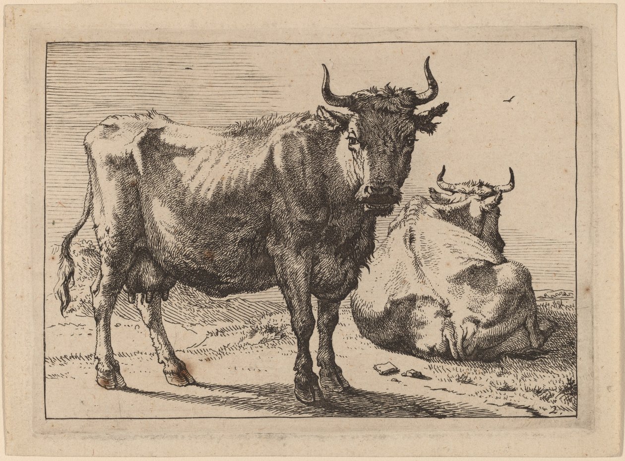 Una mucca in piedi e un