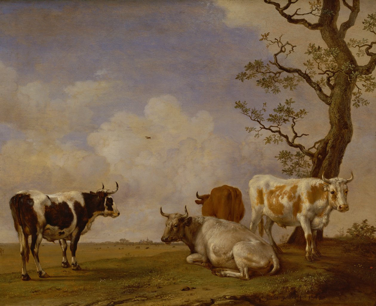 Quattro tori da Paulus Potter