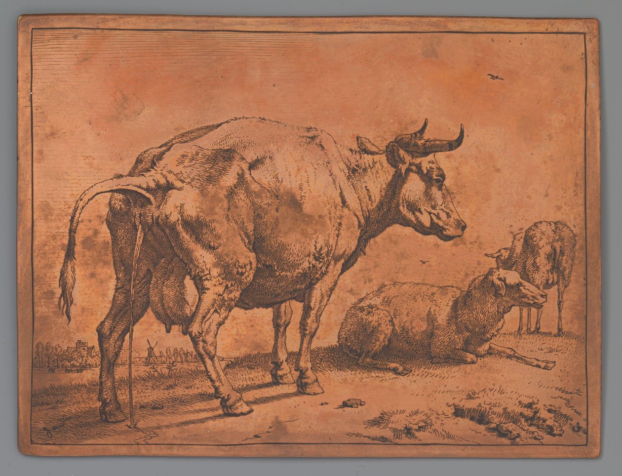 Mucca che urina e due pecore da Paulus Potter