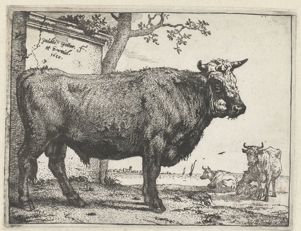 Toro da Paulus Potter