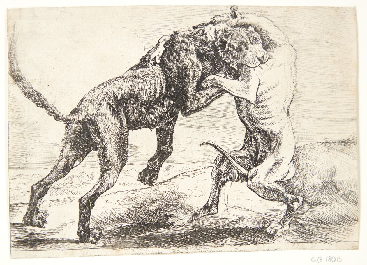Due cani che combattono da Paulus van Hillegaert (II)