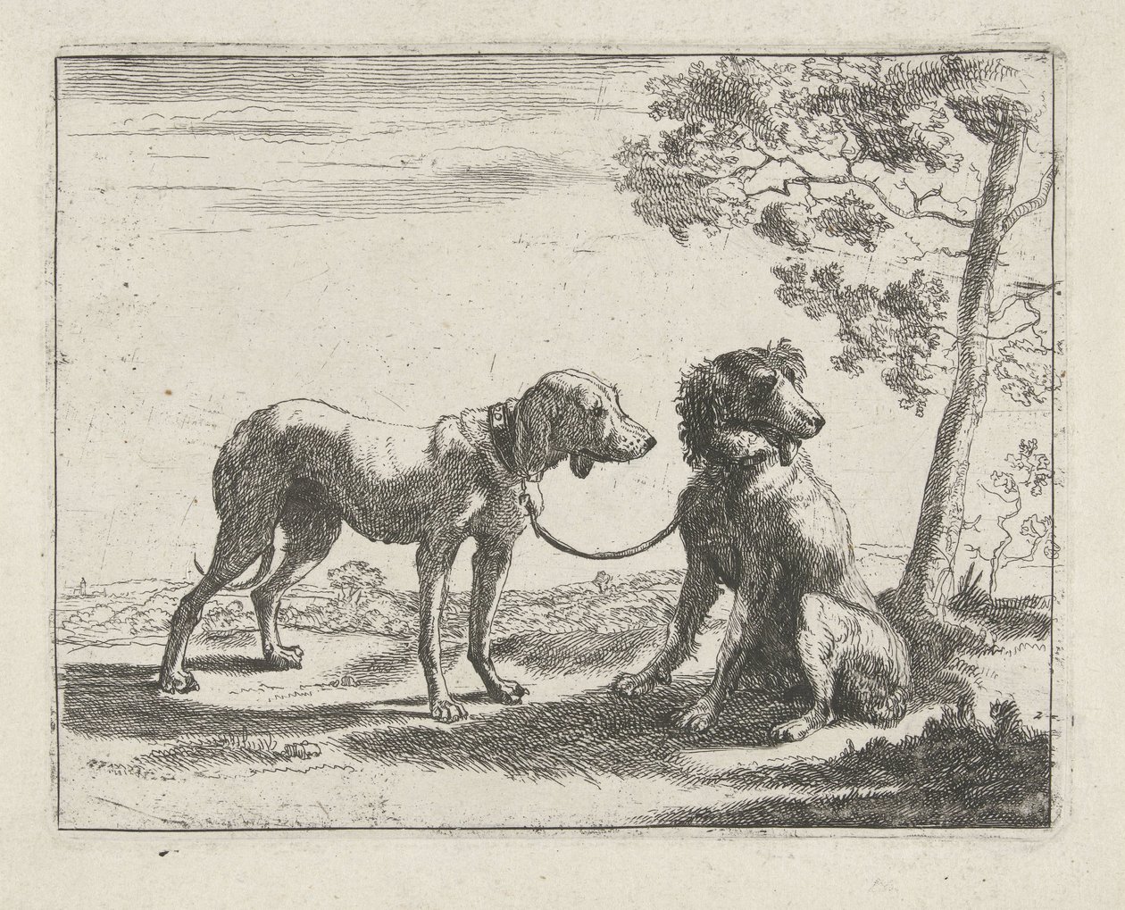 Due cani da Pauwels van Hillegaert