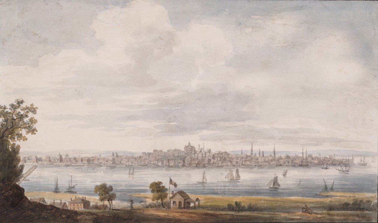Albany, New York da Pavel Petrovic Svin