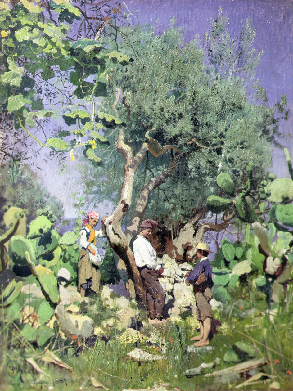 La raccolta delle olive da Peder Monsted