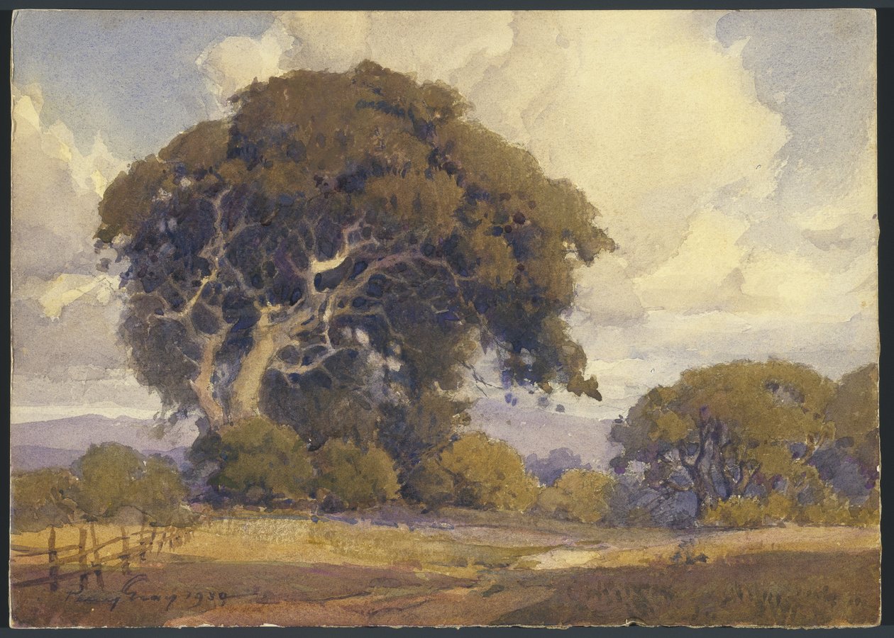 Quercia invecchiata da Percy Gray