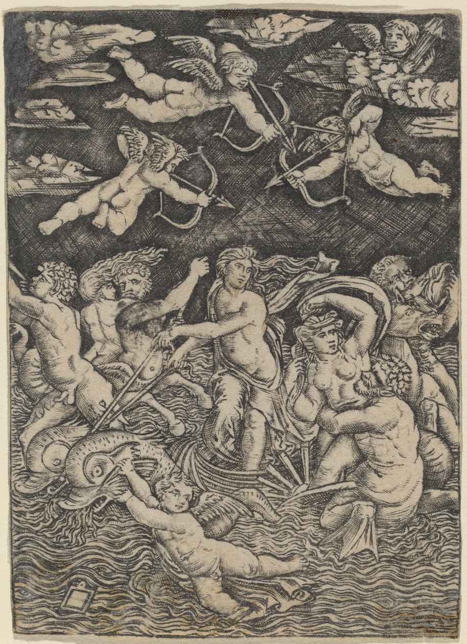 Il trionfo di Galatea da Peregrino da Cesena