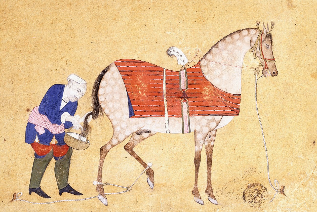 Un groom con un cavallo, 1694 da Persian School