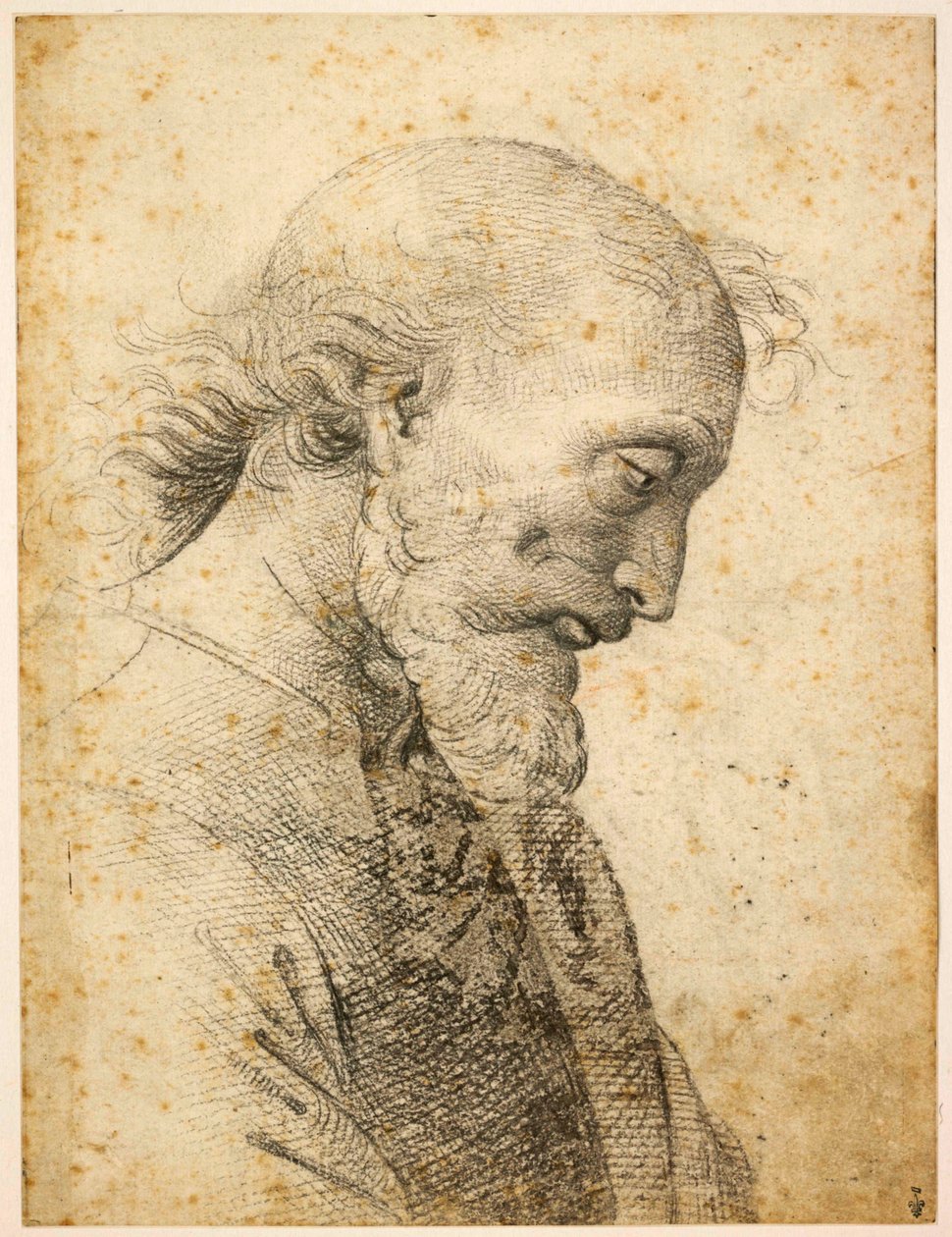 Busto d