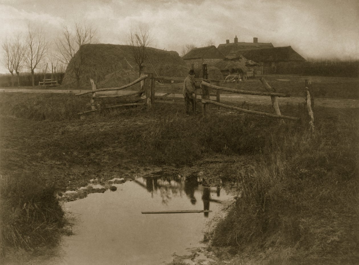 Una fattoria nella palude, c.1886 da Peter Emerson und Thomas Goodall