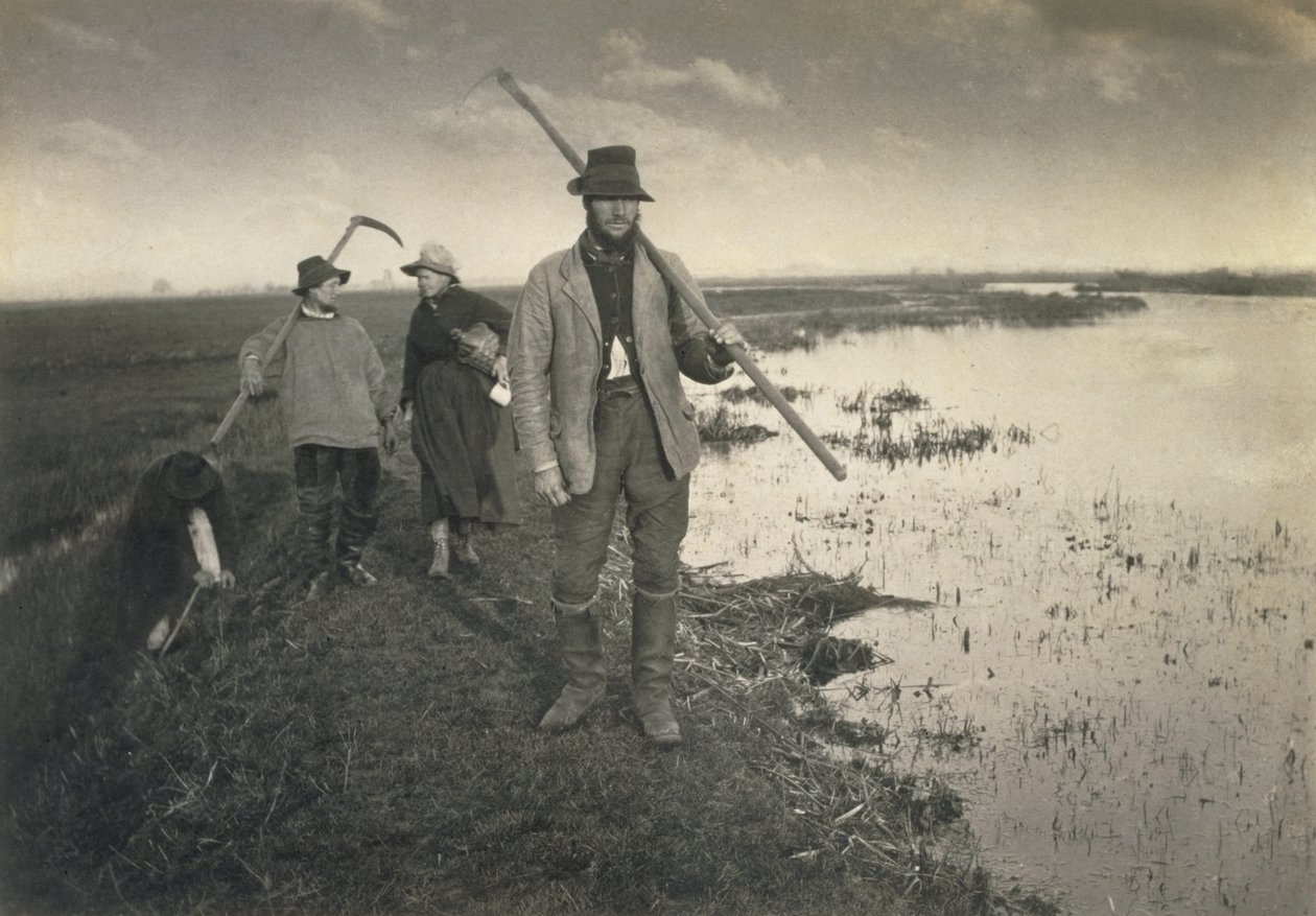 Taglio del Gladdon, Vita e paesaggio sui Norfolk Broads, c.1886 da Peter Emerson und Thomas Goodall