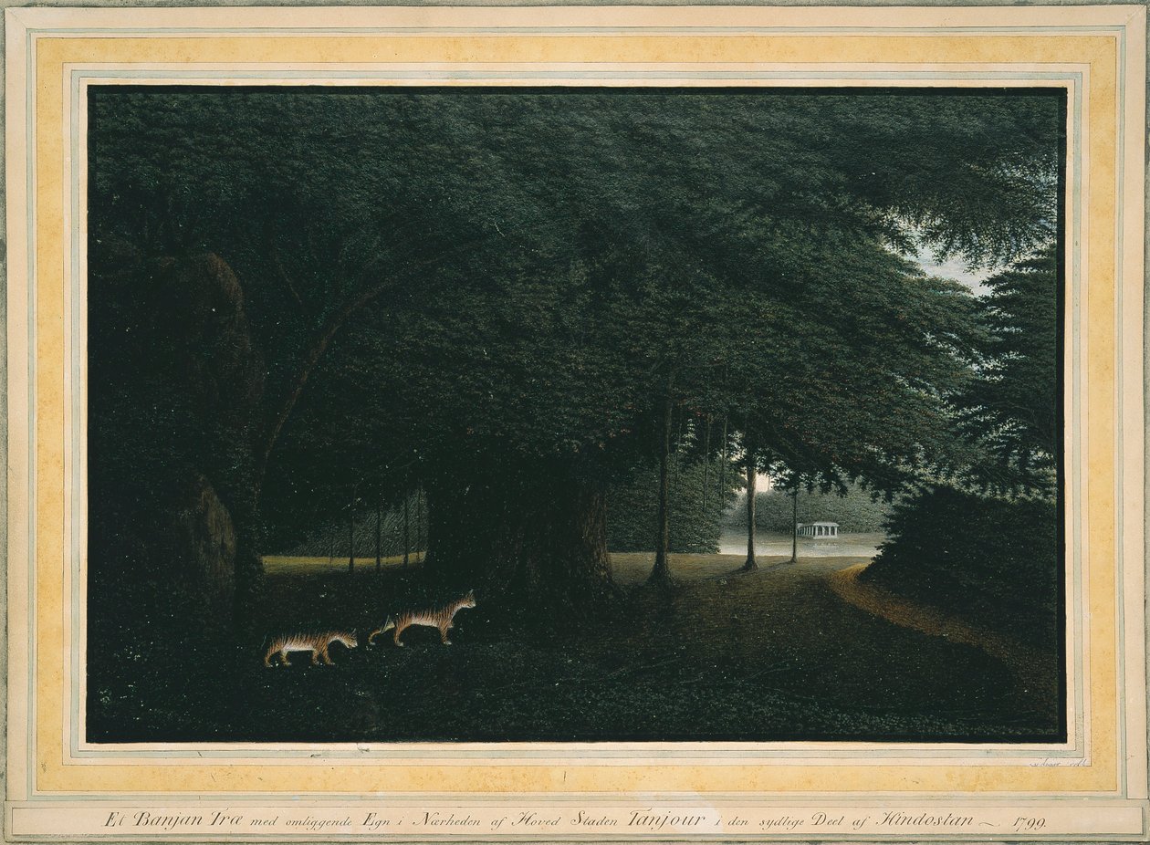 Un albero di baniano da Peter Anker