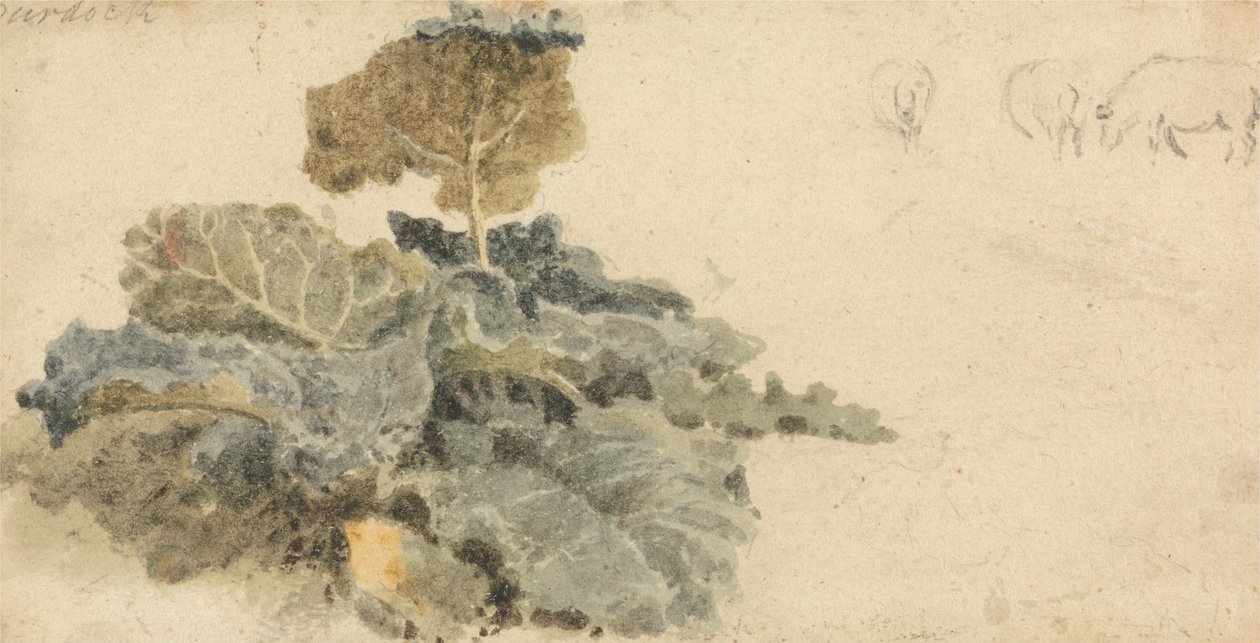 Studio di Bardana da Peter de Wint