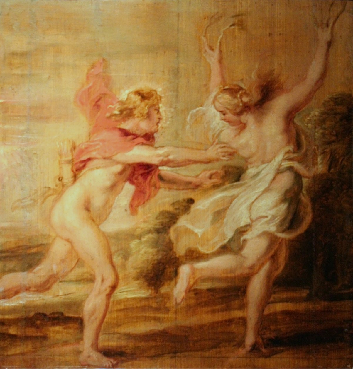 Apollo e Dafne da Peter Paul Rubens