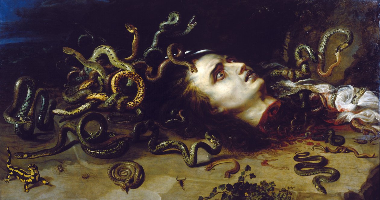 Testa di Medusa da Peter Paul Rubens