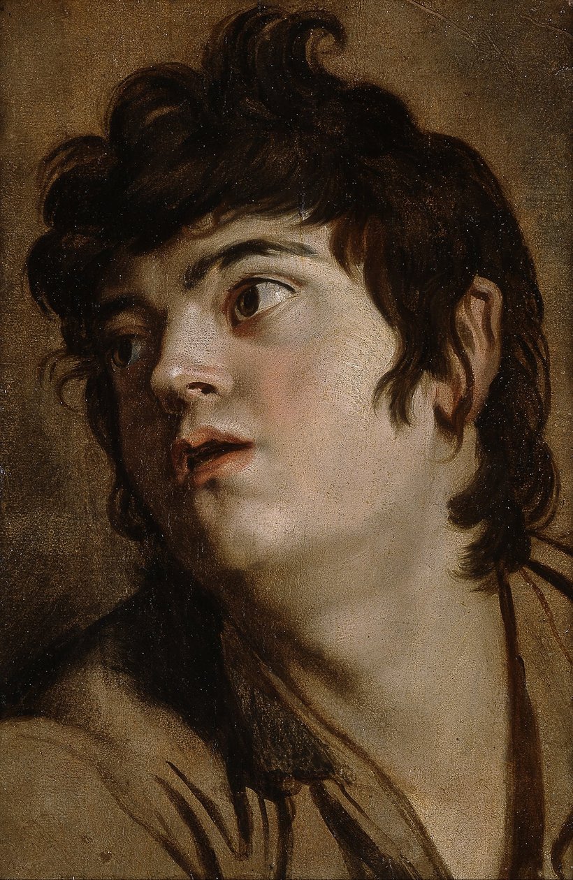 Testa di un giovane da Peter Paul Rubens