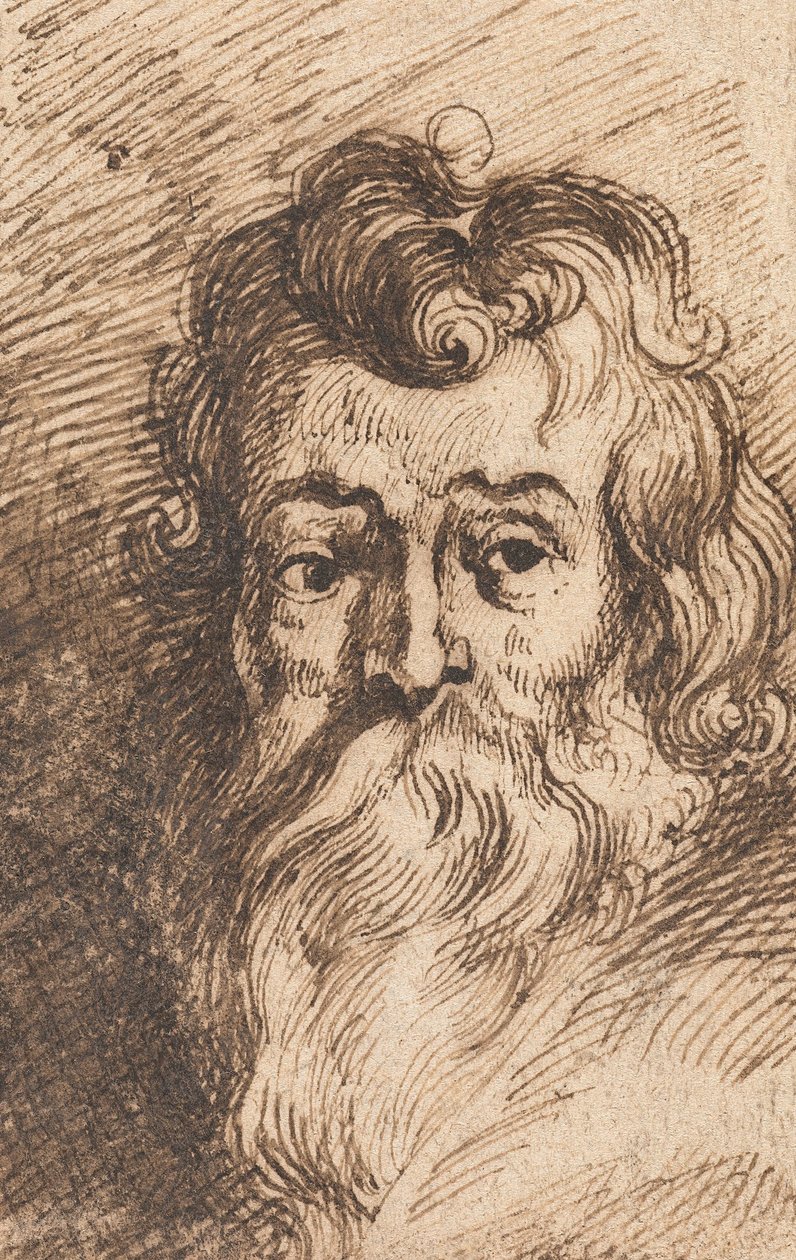 Testa di un uomo barbuto da Peter Paul Rubens