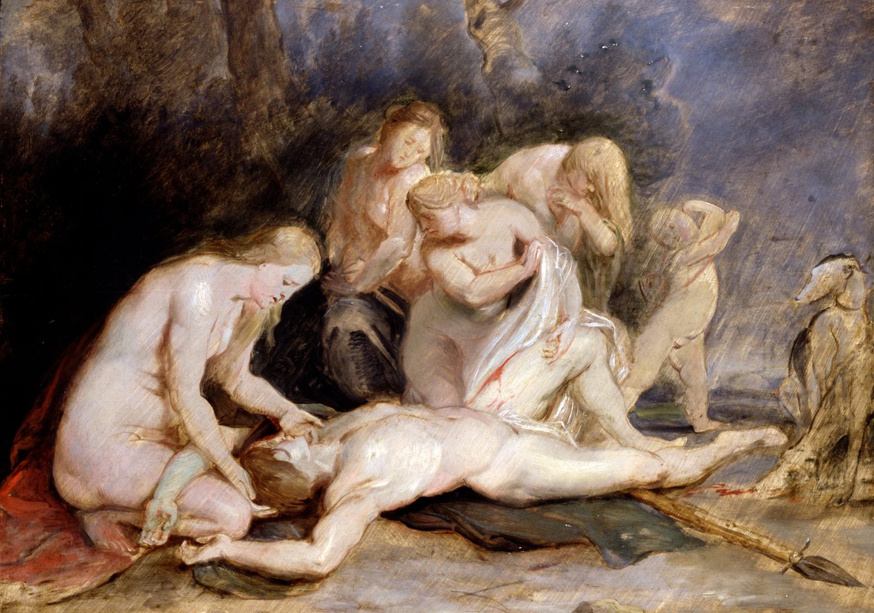Venere piange Adone da Peter Paul Rubens