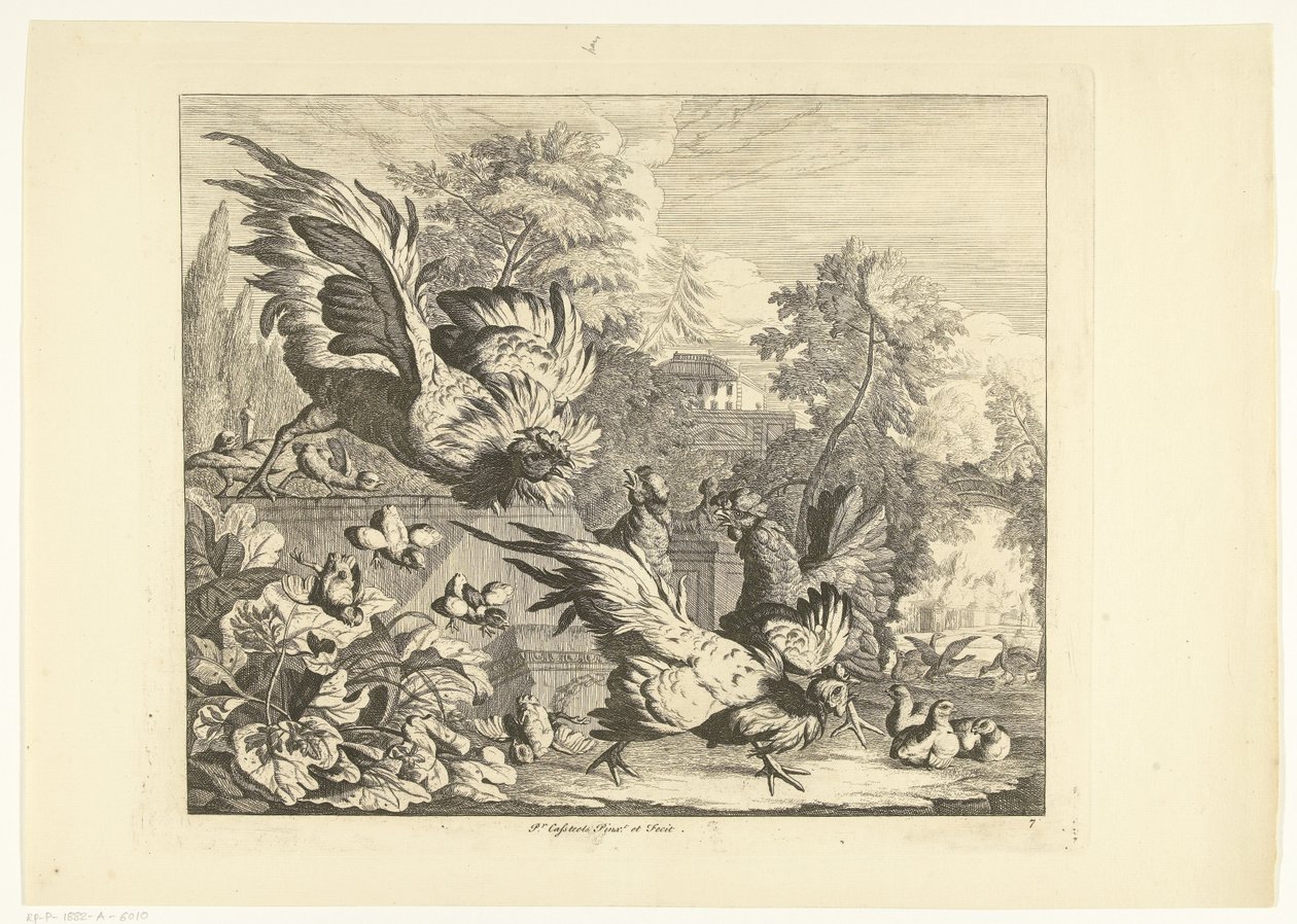 Combattimento di galli da Peter Casteels (III)