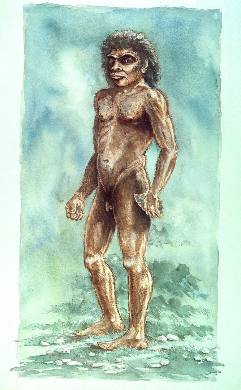 Uomo di Boxgrove, preistorico, 1990-2010 da Peter Dunn