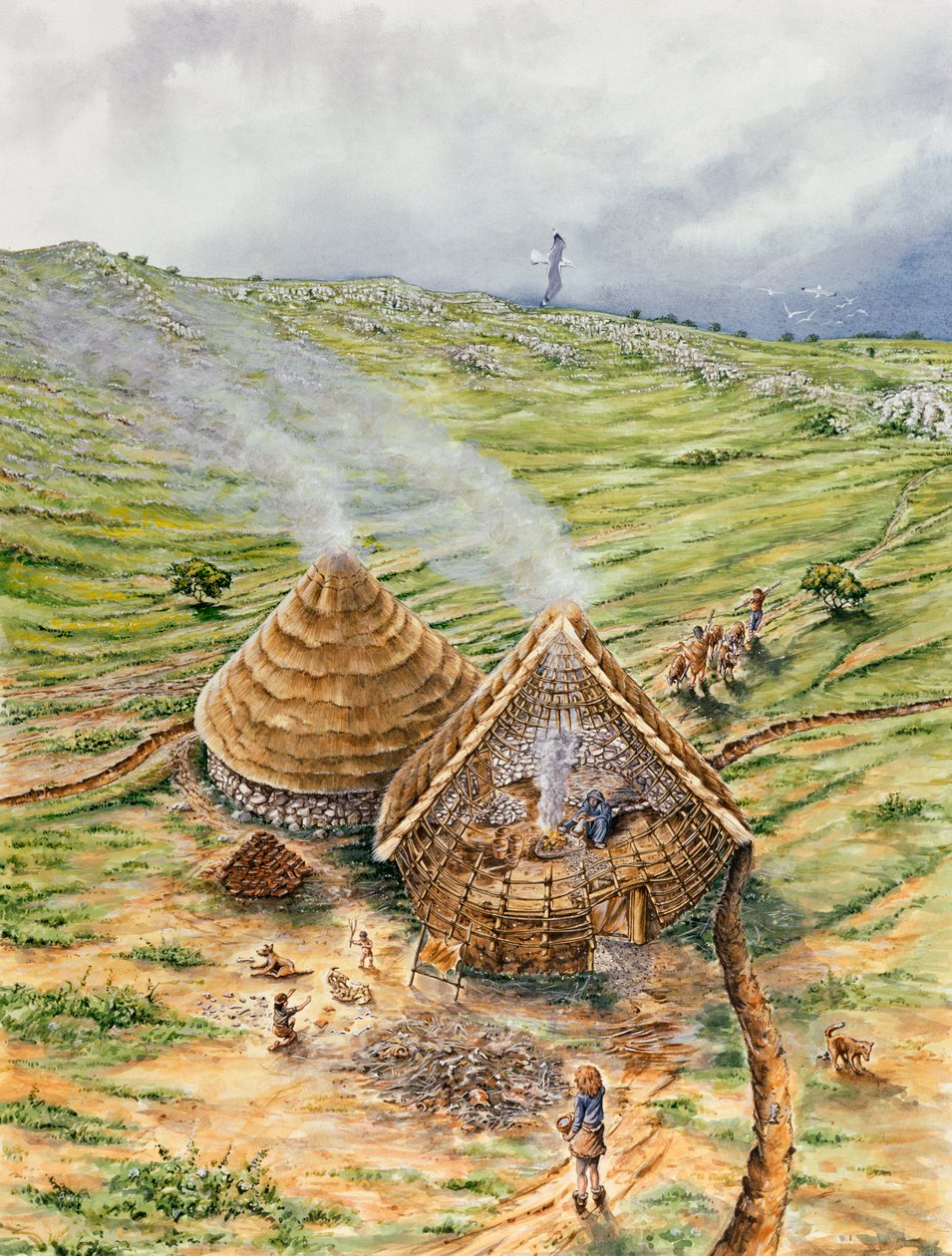 Brean Down da Peter Dunn