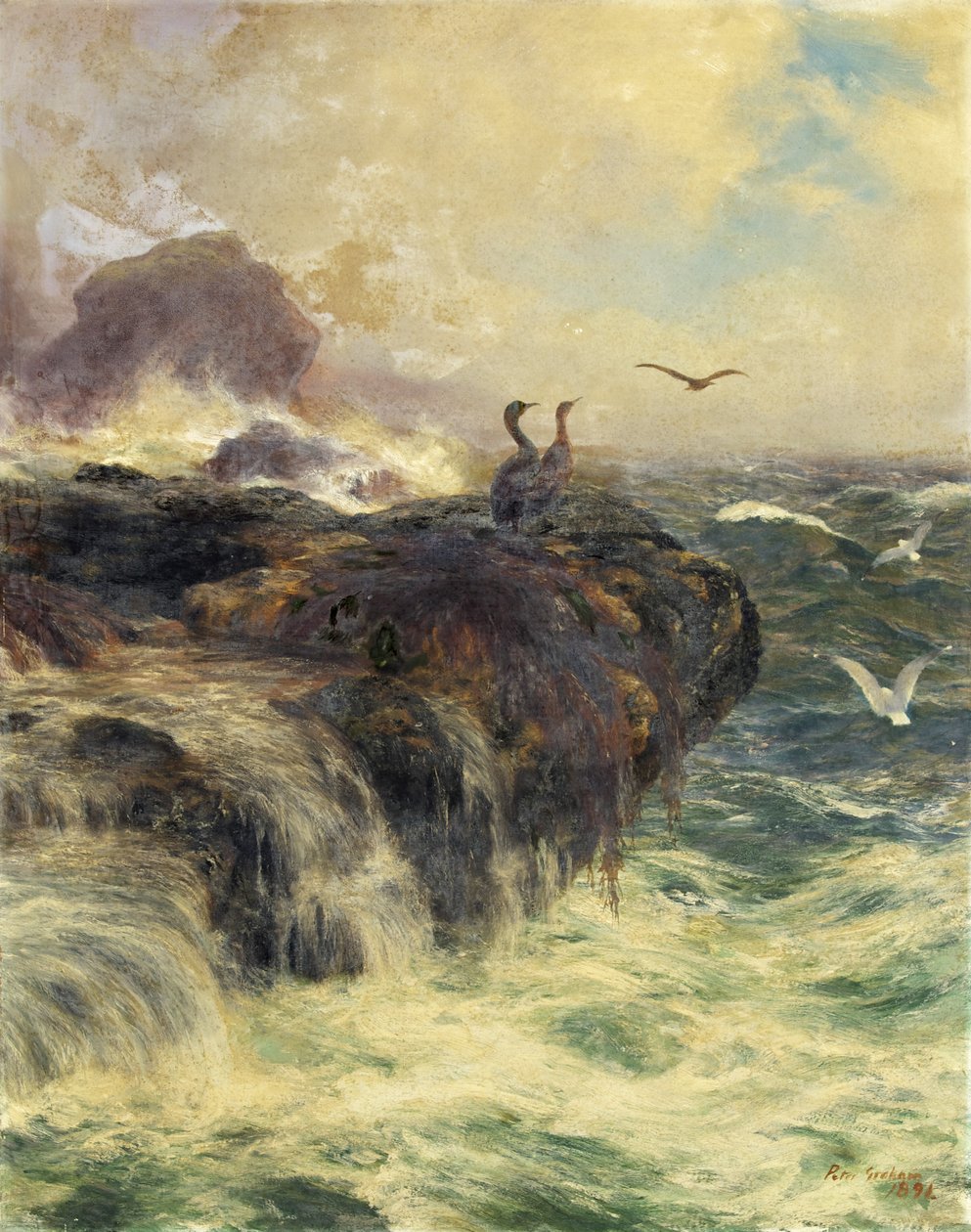 Scogliera dell