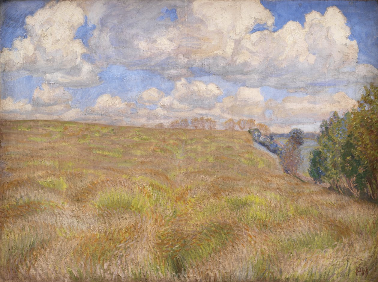 Un Campo di Segale Ondeggiante da Peter Hansen