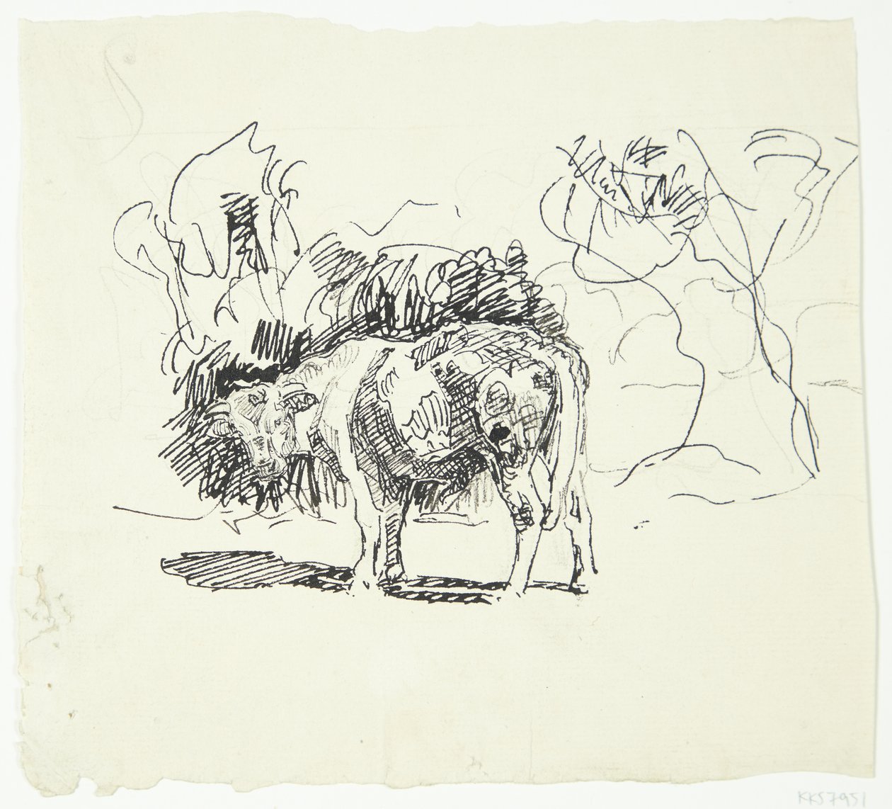 Toro in piedi da Peter Hansen