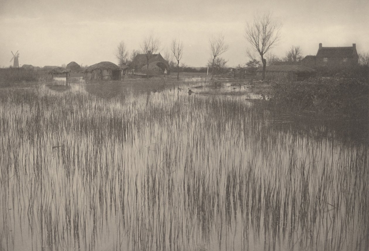 Una riva paludosa da Peter Henry Emerson