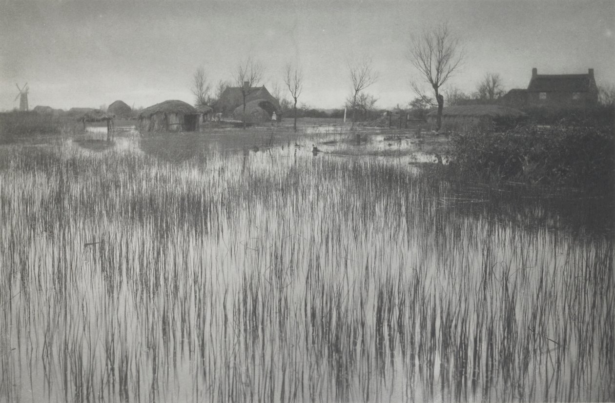Una riva paludosa da Peter Henry Emerson