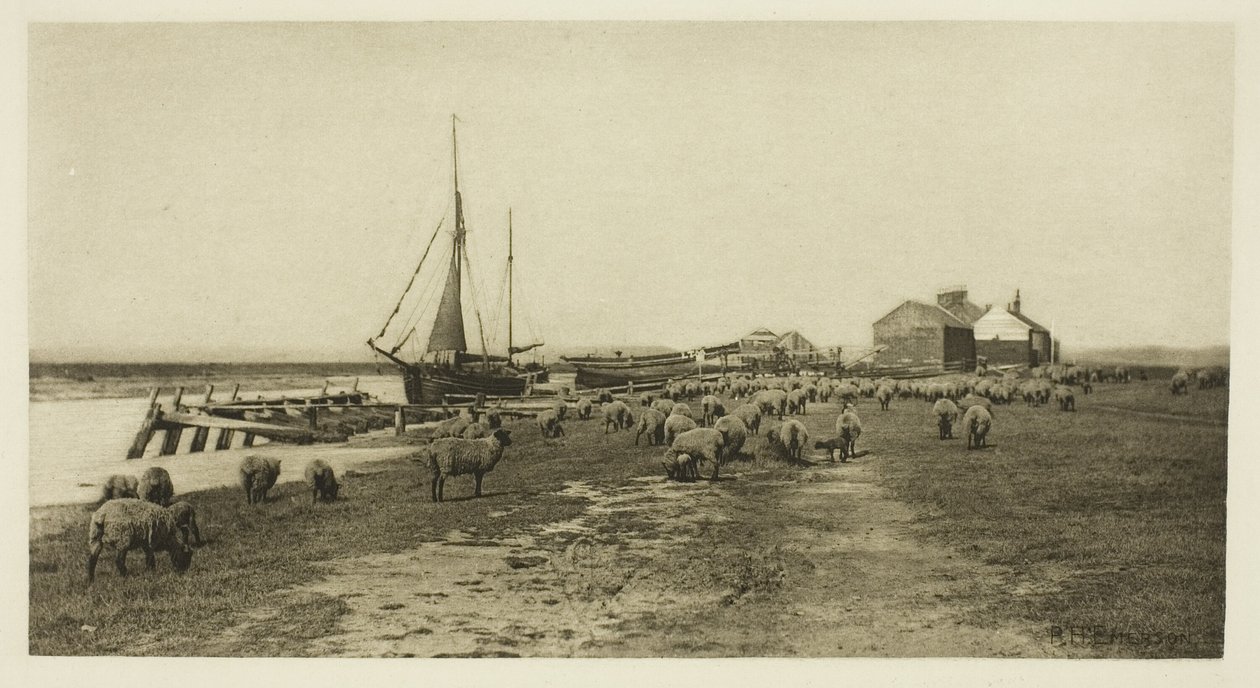 Blackshore, fiume Blythe (Suffolk) da Peter Henry Emerson