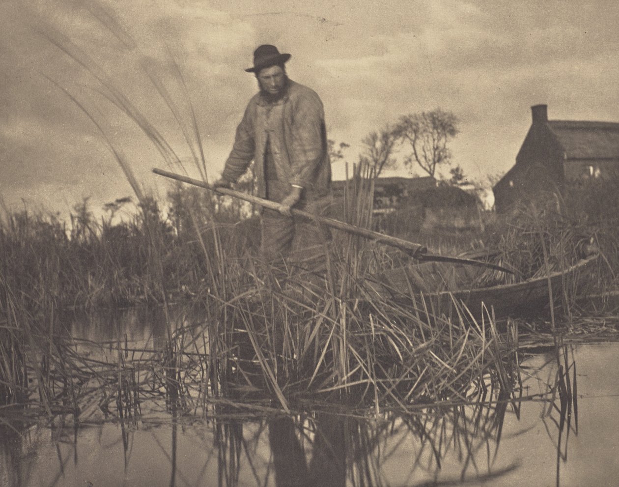 Taglio del Gladdon da Peter Henry Emerson