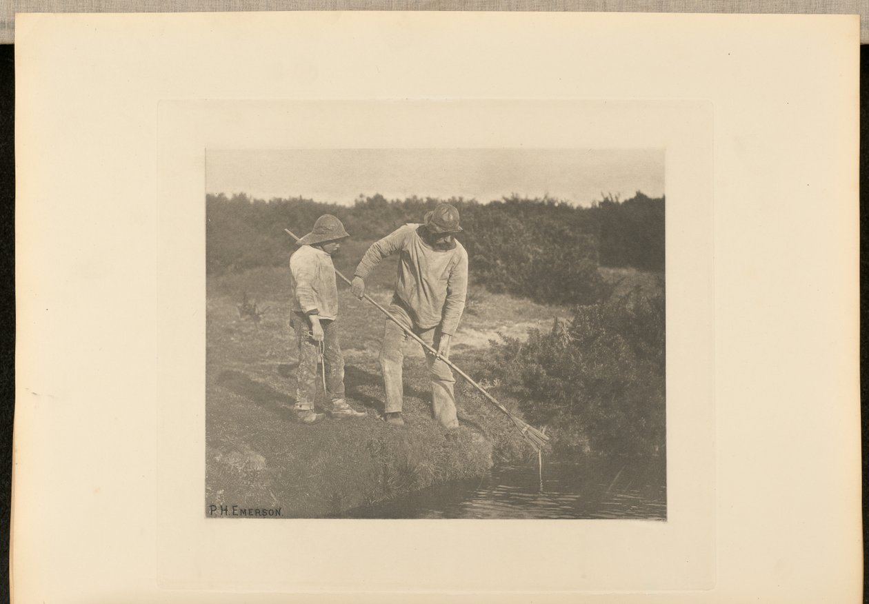 AnguillaPrelievo nelle acque del Suffolk da Peter Henry Emerson