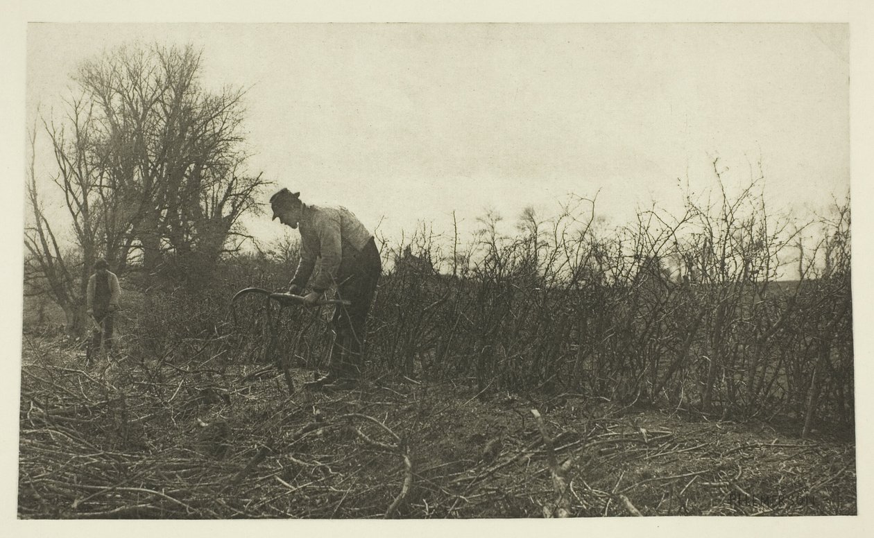Scherma nel Suffolk da Peter Henry Emerson