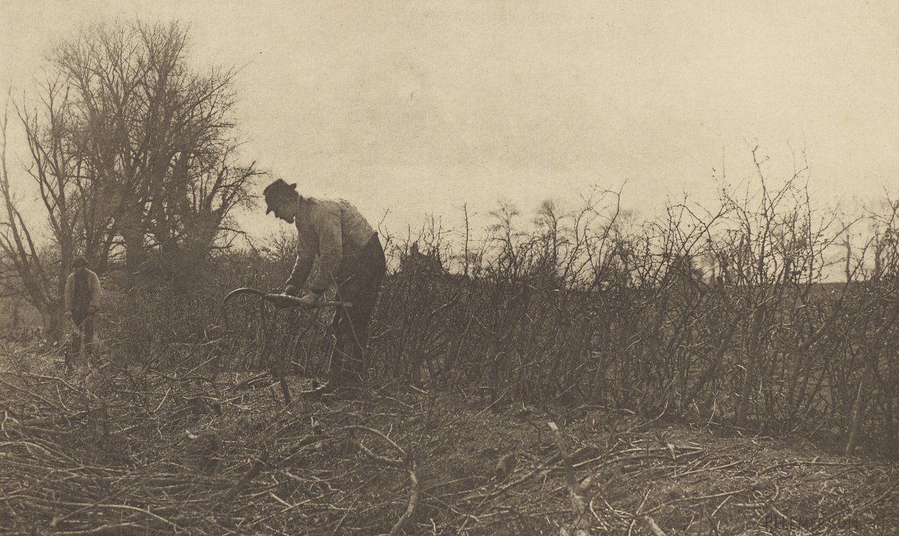 Recinzione in Suffolk da Peter Henry Emerson