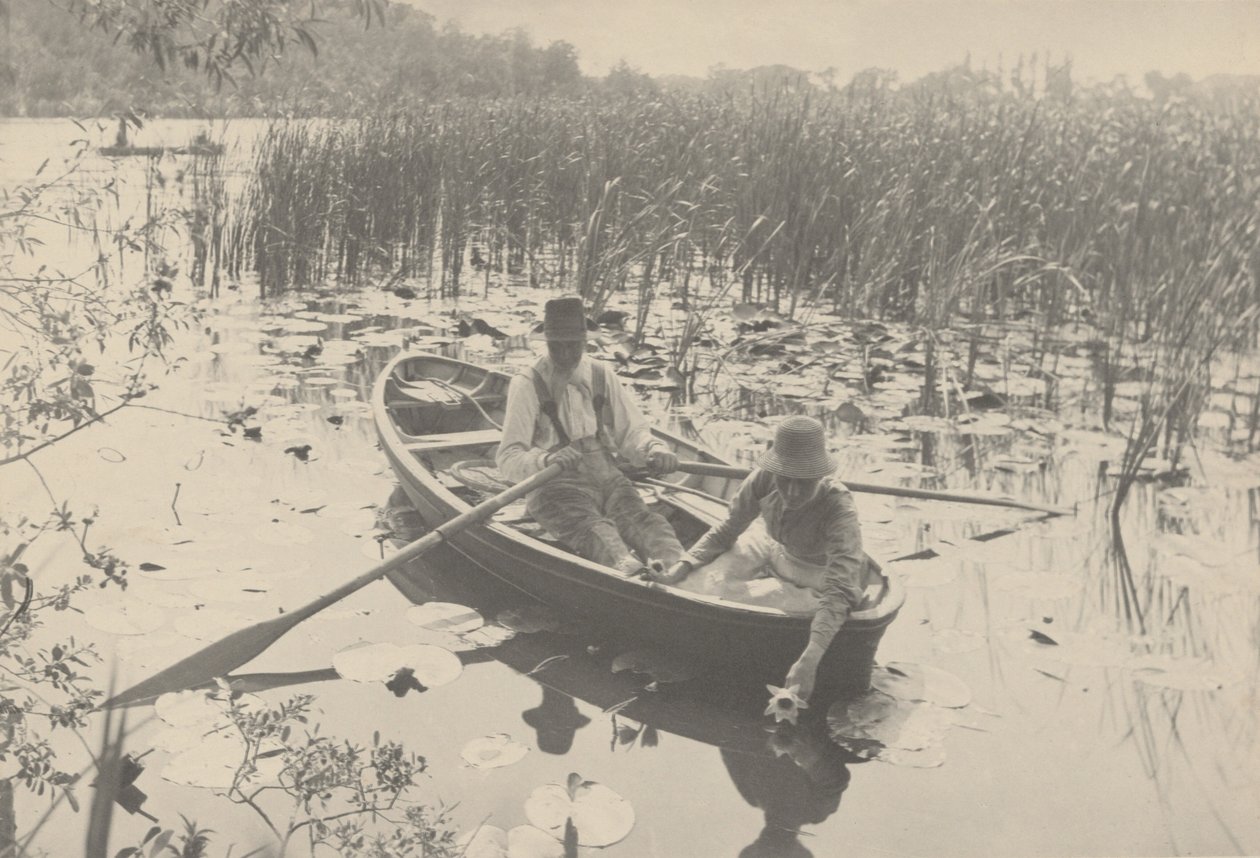 Raccolta di ninfee da Peter Henry Emerson