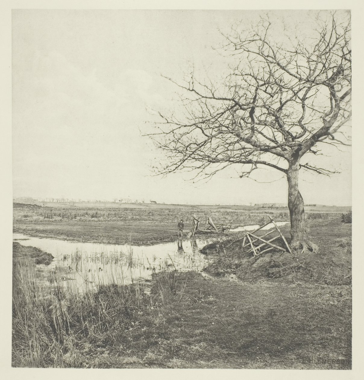 Marzo senza foglie (Suffolk) da Peter Henry Emerson